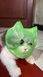 BuntuFx